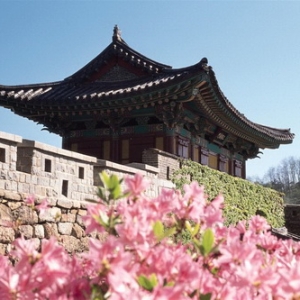 ѧҪǮ