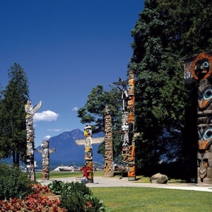 ���ô���ɯ��ѧ��������Դ��MBA��רҵ