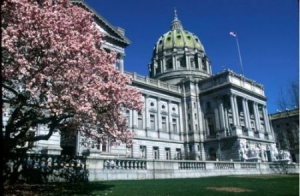 ȥ��������ѧ���ƶ�