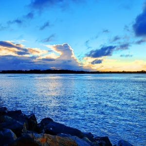 ������ѧ 2013���о�����ѧ���·��ý���