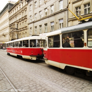 ������ѧ���������ѧ��������