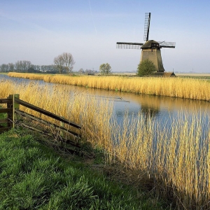 ������ѧ ���רҵ�ĸ���ѧ�������