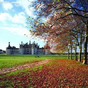 ��ѧԤ�� ��ѧ�н鼱��Ҫ��������