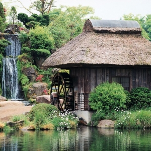 2013�ձ���ѧ���߷ſ��Լ۱ȸ�