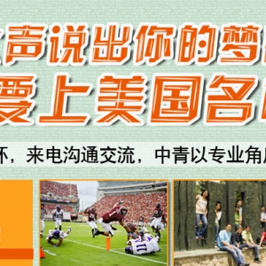 ��Ҫ��������У