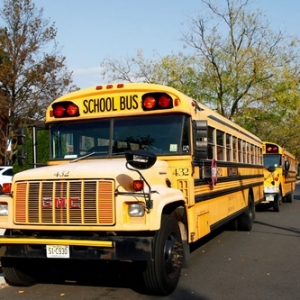 ������ѧ����Ϊ�ļ���