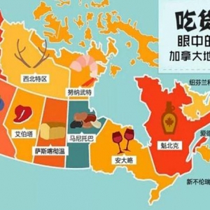 �Ի����еļ��ô�ʲô����