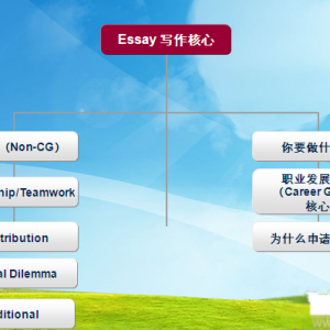 д̿essay