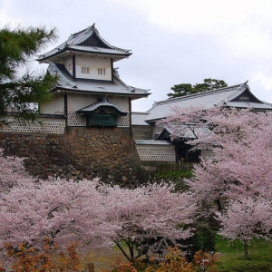 ������ѧ�����������