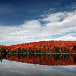 ǳ��2016����2017һ�����ô����ѧ����