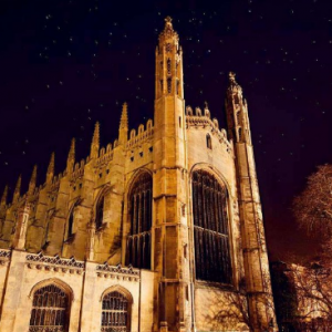 ӢѧBusinessConsultingרҵؽ