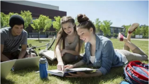 �������ƺ��о�������Ĳ�֮ͬ���Ա�