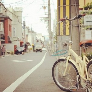 �ձ���ѧרҵѡ�����