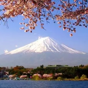 �������д���״��ŵ���Щ�¶�