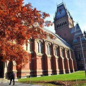 ��У������¼ȡ�ʣ�����Ȼû�н���