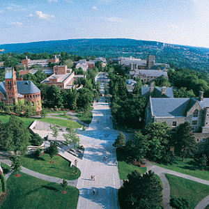 ���������ѧ��Ҫ������Щ