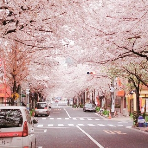 �ձ����������ѧУ��������