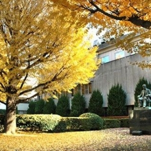 ȥ�ձ���ѧ��Ӧ�����ѡ���Լ���ѧУ��