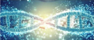 Ӣ����ѧ��A-level���ﶼѧ��Щ���ݣ�