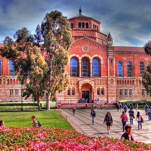 ���в����룿ȥ��������