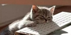 ������Щרҵ�������ɲ���һ��Ĵ�