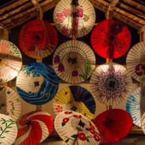 ������ѧǰ���ȵ��˽��ձ���������