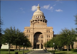 2019������������ѧ����ϸ����