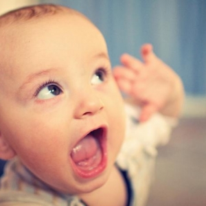 ������ѧ��������������ѧУ��רҵ