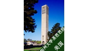 ͬѧݴѧʥŰУ
