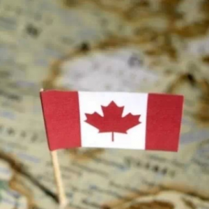 �����ڼ��ô������11��רҵ