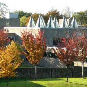 2019��Ӣ����ѧ��������