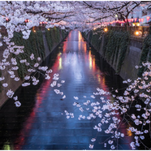 �ձ���ѧ�������ͽ��