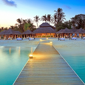 ������ѧ��������ָ��