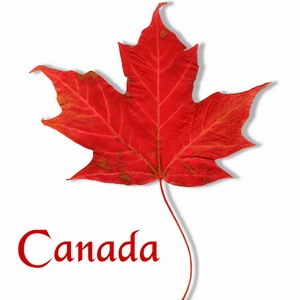 ���ô��й���������������  ��ѧ����������