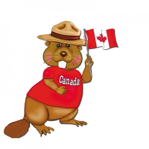 ȥ���ô���ѧӦ��ע����Щ���