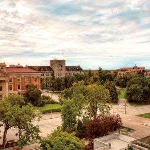 �߿����ܿ�����Щ���ô���У��