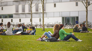 ����������ͬԺУ���Ƶ�����