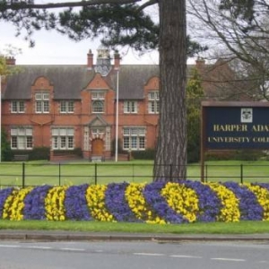 Ӣ��ѧ������������õ�������ѧ