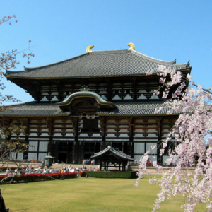 �����ձ���ѧ����ˮƽҪ��