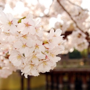 ���ն�����ѧУʱ����Щ�����׽���У