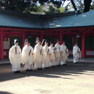 ��ο�����Ӧ�ձ���ѧ����