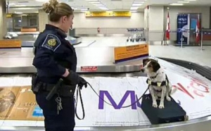 ���ô���ѧ���˳���뾳