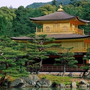 �����ձ���ѧ��������Щ����