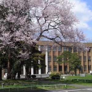 ���ձ�����ѧ�����̽���