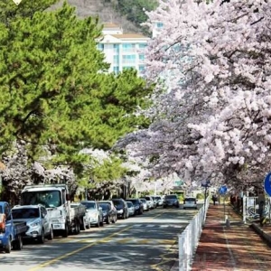 ��һ�ε��ձ���ѧ��ע����Щ����