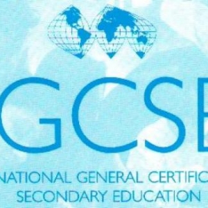IGCSEA-levelγ̵Ĺϵ