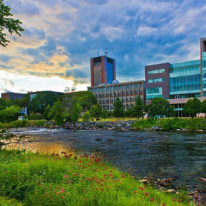 ���ô��ҵ����ҵ����ߵ�ԺУ