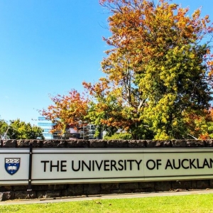 ȥѧmbaרҵ𣿿γ̳̼ҵǰ