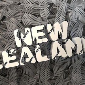 2019ѧרҵѧƼγ̷Ƽ