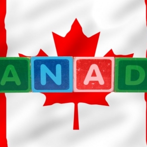 ���ô����ѧרҵ��ҵ�������